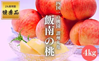 桃 讃州丸亀 飯南の桃 約4kg 11玉～14玉 特秀品クラス 贈答箱 フルーツ 果物 くだもの もも モモ 白桃 香川