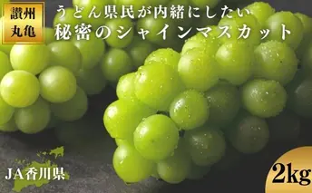 シャインマスカット 地元民が内緒にしたい 約2kg マスカット ぶどう 葡萄 ブドウ フルーツ 果物 くだもの 香川