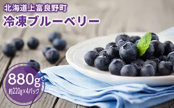 冷凍 大粒 ブルーベリー 880g（220g×4p）北海道 上富良野産 小分け