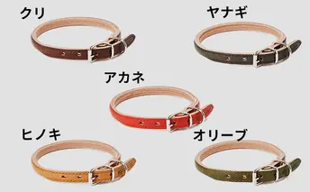 [No.5258-7035]0096good collar 4号［犬 猫 首輪］ヤナギ