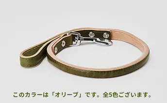 [No.5258-7060]0101good lead 大型犬用短引き［犬 猫 リード］ヤナギ