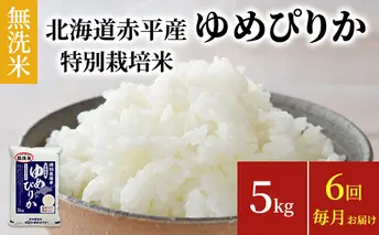 無洗米 北海道赤平産 ゆめぴりか 5kg 特別栽培米 【6回お届け】 米 北海道 定期便