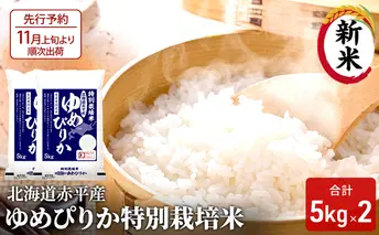 【先行予約2024年産米・10月下旬より順次出荷】北海道赤平産 ゆめぴりか 10kg (5kg×2袋)特別栽培米 米 北海道