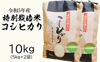 令和五年特別栽培米 コシヒカリ 10kg お米 コシヒカリ