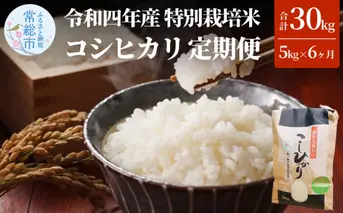 定期便6ヶ月お届け　令和四年産特別栽培米　コシヒカリ　5kg