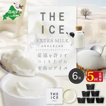 【毎月定期便】【THE ICE】エキストラミルク6個×5ヵ月定期便【be003-1065-100-5】