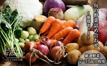 〈自然栽培〉佐々木ファーム 旬の野菜詰め合わせ ～循環セット～ 厳選野菜7-10品目程度 3月よりお届け やさい 直送 北海道 洞爺湖町 野菜の詰め合わせ 北海道産 北海道産野菜 