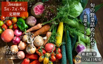 [3回お届け 5月・7月・9月 定期便]〈自然栽培〉佐々木ファーム 旬の野菜詰め合わせ ～循環セット～ 厳選野菜7-10品目程度 やさい 直送 北海道 洞爺湖町 野菜の詰め合わせ 北海道産 