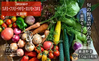 [5回お届け 5月・7月・9月・11月・3月 定期便]〈自然栽培〉佐々木ファーム 旬の野菜詰め合わせ ～循環セット～ 厳選野菜7-10品目程度 野菜の詰め合わせ 北海道産 