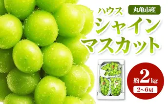ハウスシャインマスカット　約2kg
