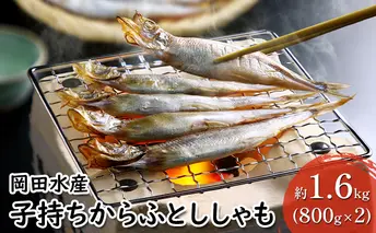 子持ちからふとししゃも 約1.6kg(800g×2) 樺太 魚シシャモ メス おつまみ
