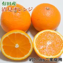 ZD6386n_【2026年先行予約】【産直】有田産清見オレンジ 約7.5kg（訳あり家庭用サイズおまかせまたは混合）