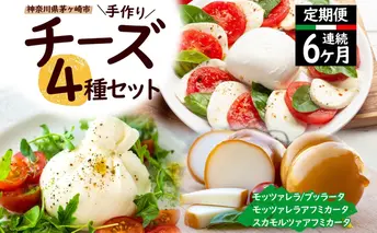 6ヶ月定期便 チーズ 4種 詰め合わせ 各1個 Osteria e Bottega S モッツァレラ ブラッターチーズ スカモルツァアフミカータ 神奈川県 茅ケ崎市 加工食品 乳製品 牛乳 手作業 ミルク 銀賞 幻のチーズ スモーク 塩漬け 美味しい  おつまみ ピザ 