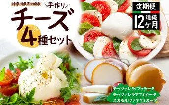 12ヶ月定期便 チーズ 4種 詰め合わせ 各1個 Osteria e Bottega S モッツァレラ ブラッターチーズ スカモルツァアフミカータ 神奈川県 茅ケ崎市 加工食品 乳製品 牛乳 手作業 ミルク 銀賞 幻のチーズ スモーク 塩漬け 美味しい  おつまみ ピザ 