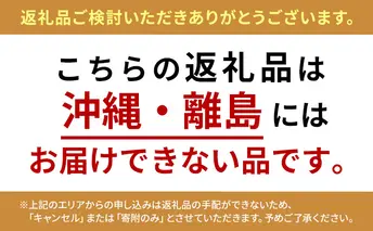 先行予約 秋田美人メロン 4～5個 計5kg 甘さたっぷりの青肉メロン 糖度15度以上 ミツバチ交配 秋田県 男鹿市 JA秋田なまはげ