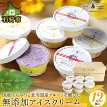 12-042 桂井養蜂園国産はちみつ使用 北海道産フルーツの無添加アイス 12個セット