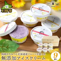 9-068 桂井養蜂園国産はちみつ使用 北海道産フルーツの無添加アイス 9個セット