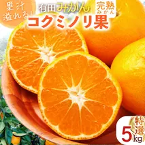 DS6004_【先行予約】果汁溢れる 完熟 有田みかん 「コクミノリ果」5kg 特選 L～2Sのおまかせ
