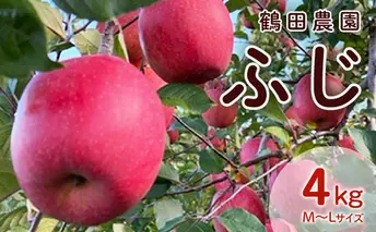 北海道仁木町産 香るリンゴ ふじ 鶴田農園 個数限定