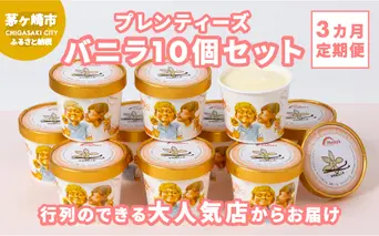 【3か月定期便】湘南茅ヶ崎の人気店 プレンティーズのアイス（バニラ10個） お菓子 スイーツ ひんやり デザート 夏 おしゃれ かわいい バニラアイス 