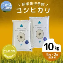 【令和5年産新米予約】【無洗米】コシヒカリ10kg（5kg×2）