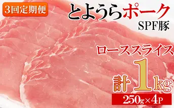 【3ヵ月 定期便 】 とようらポーク1kg ロース スライス 小分け 北海道豊浦産 SPF豚