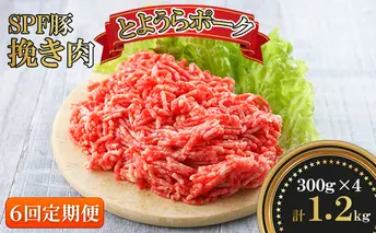 【6ヵ月 定期便 】 とようらポーク1.2kg ひき肉 小分け 北海道豊浦産 SPF豚