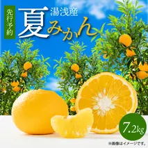 G7074_【2026年先行予約】湯浅産 夏みかん 7.2kg