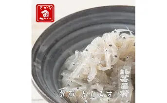 高知産「生シラス」イワシ稚魚100g×5パック入り(タレ付）