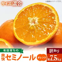 AB7105n_（先行予約）有田育ちの爽快 セミノール オレンジ 【訳あり 家庭用】7.5kg