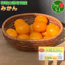 BT6011n_和歌山県有田産 みかん 5kg +0.5kg 増量 L～Sサイズ（おまかせ）