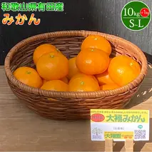 BT6013n_和歌山県有田産 みかん 10kg +1kg 増量 L～Sサイズ（おまかせ）