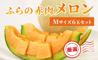 【2025年発送】ふらの 赤肉メロン 厳選 甘味 Mサイズ 1.35kg～1.6kg 6玉 セット ファーム富良野 メロン めろん 富良野メロン 果物 くだもの フルーツ 富良野 デザート 北海道 先行受付 北海道上富良野町 