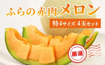 【2025年発送】ふらの 赤肉メロン 厳選 甘味 特4サイズ 2kg～2.6kg 4玉 セット ファーム富良野 メロン めろん 富良野メロン 果物 くだもの フルーツ 富良野 デザート 北海道 先行受付 北海道上富良野町 