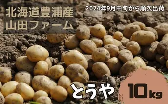 北海道 豊浦産 じゃがいも とうや 10kg M-Lサイズ 農園直送 産直 ポテト 芋 イモ