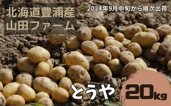 【2024年9月中旬から順次出荷】北海道 豊浦産 じゃがいも とうや 20kg M-Lサイズ 農園直送 産直 ポテト 芋 イモ