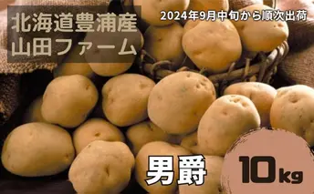 北海道 豊浦産 じゃがいも 男爵 10kg M-Lサイズ 農園直送 産直 ポテト 芋 イモ