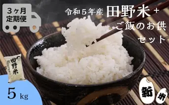 ≪先行受付中：定期便3ヵ月（10月～12月）≫  ★ 令和5年産 新米 ★【四国一小さなまち】 田野米 5kg ＋ ご飯のお供 ～ 精米 ・ 白米 ～ 
