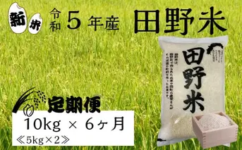 ≪先行受付中：定期便6ヵ月（10月～3月）≫  ★ 令和5年産 新米 ★【四国一小さなまち】 田野米 10kg （5kg×2袋）× 6回 ～ 精米 ・ 白米 ～ 