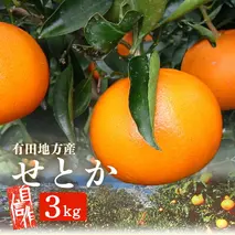AU6022_【先行予約】有田地方産せとか 3kg