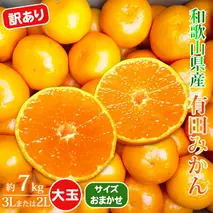 AT6315_【2025年先行予約】ご家庭用　有田みかん 約7kg (2L、3Lサイズ)【湯浅町】