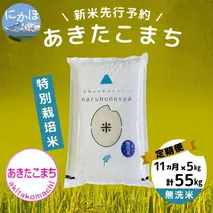 【令和5年産新米予約】【無洗米】<11ヵ月定期便>特別栽培米あきたこまち5kg×11回 計55kg