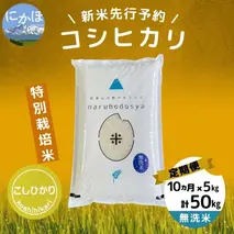 【令和5年産新米予約】【無洗米】<10ヵ月定期便>特別栽培米コシヒカリ5kg×10回 計50kg