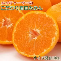 ZD92069_【2025年先行予約】エコファーマーのこだわり 有田みかん 10kg (サイズ混合・秀・優品)【数量限定】