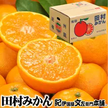 V7453_田村みかん／4kg秀品 【サイズ指定なし】