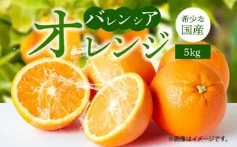 G7079_希少な国産バレンシアオレンジ 5kg 秀品