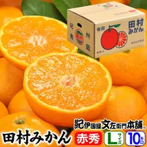 V7442_田村みかん／特選ギフト品10kg【Lサイズ】赤秀