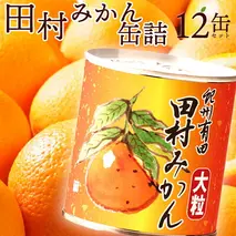 AY6003_田村みかん 缶詰 12缶セット