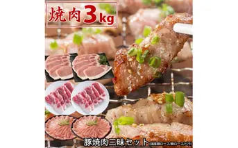 国産豚焼肉三昧セット3kg 肉 豚肉 焼肉 ぶた肉 豚焼肉 ヤキニク 焼き肉鍋 特産品 ギフト