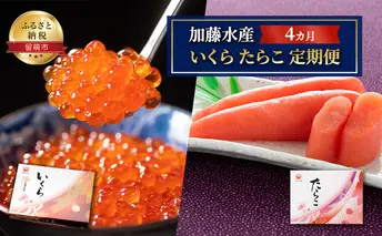 訳あり 低温熟成 塩たらこ 切子 2kg たらこ【 タラコ 海鮮 魚介類 魚介